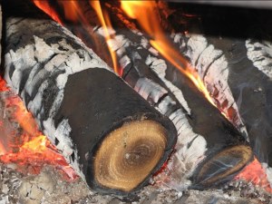 Фото горящие дрова в печи